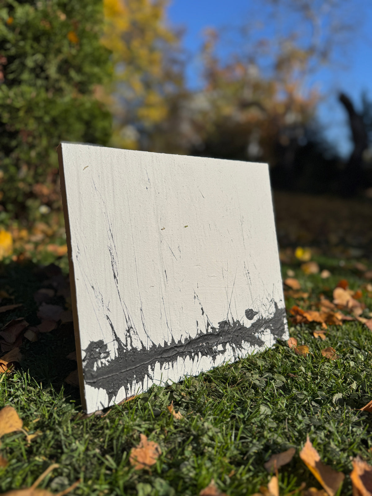 woods - 11