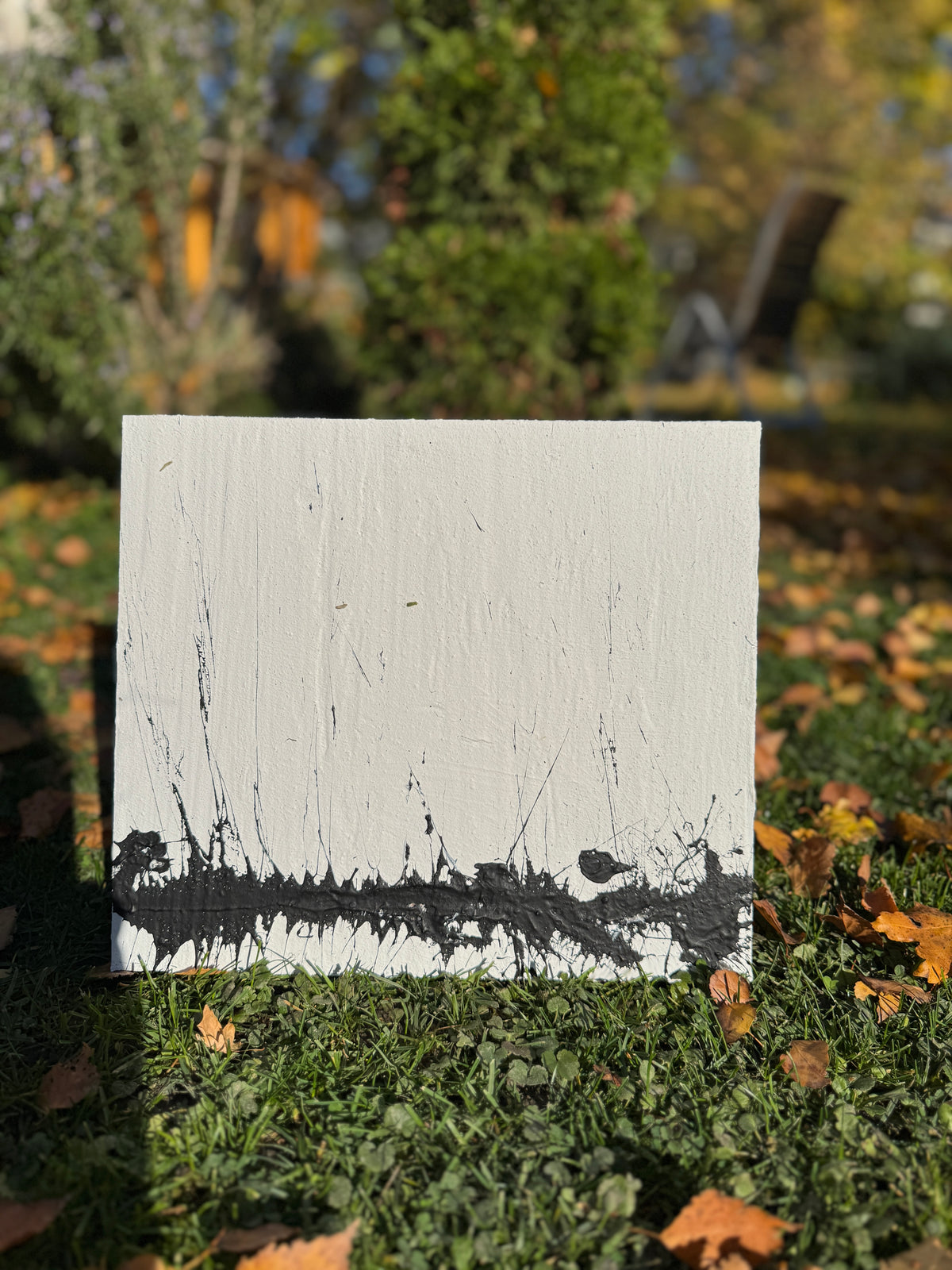 woods - 11